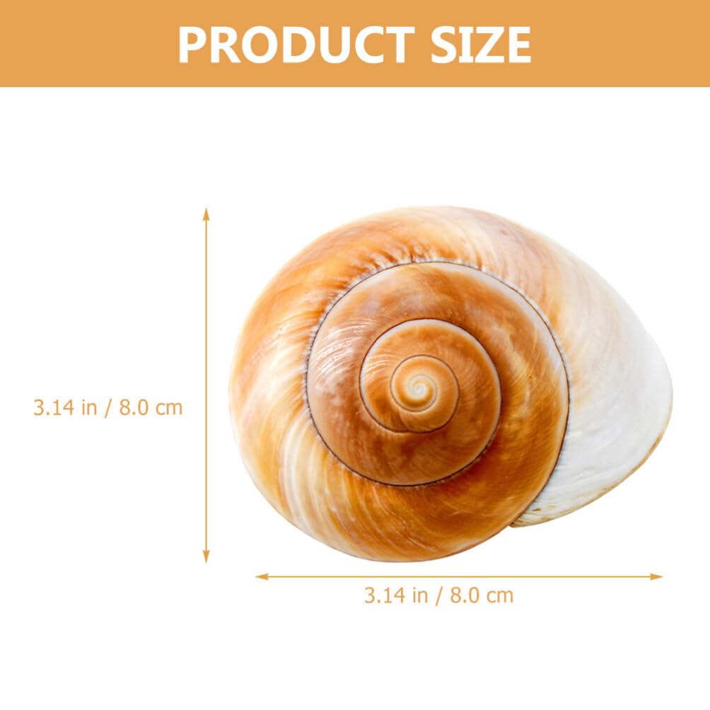 Amazon.co.jp: KJOET 2個 水族館 巻貝 貝殻 フェイク 海 貝殻 巻貝